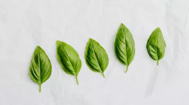 garnishing-instructions-image